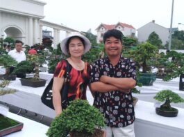 Giao Lưu với Nghệ Nhân Phạm Chính Nhà Vườn Cây Cảnh Số 1 Ninh Giang – Hải Dương